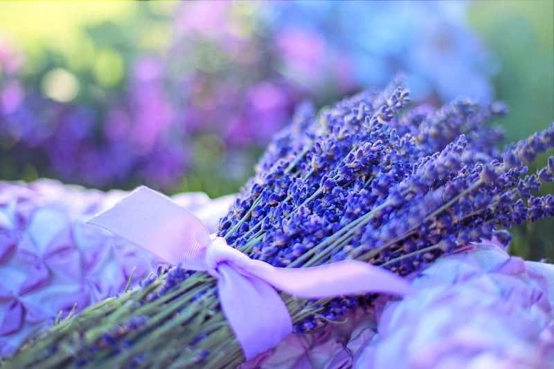 Herbal Illustrations
